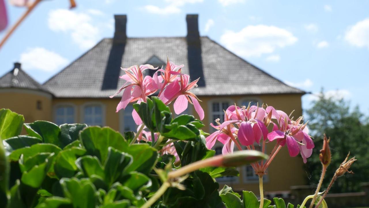 Hotel Schloss Diepenbrock Μπόχολτ Εξωτερικό φωτογραφία